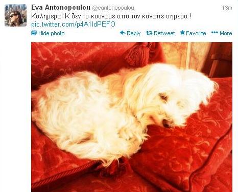 Ποιός έχει ξαπλώσει στον καναπέ της Εύας Αντωνοπούλου; (Φωτογραφία)