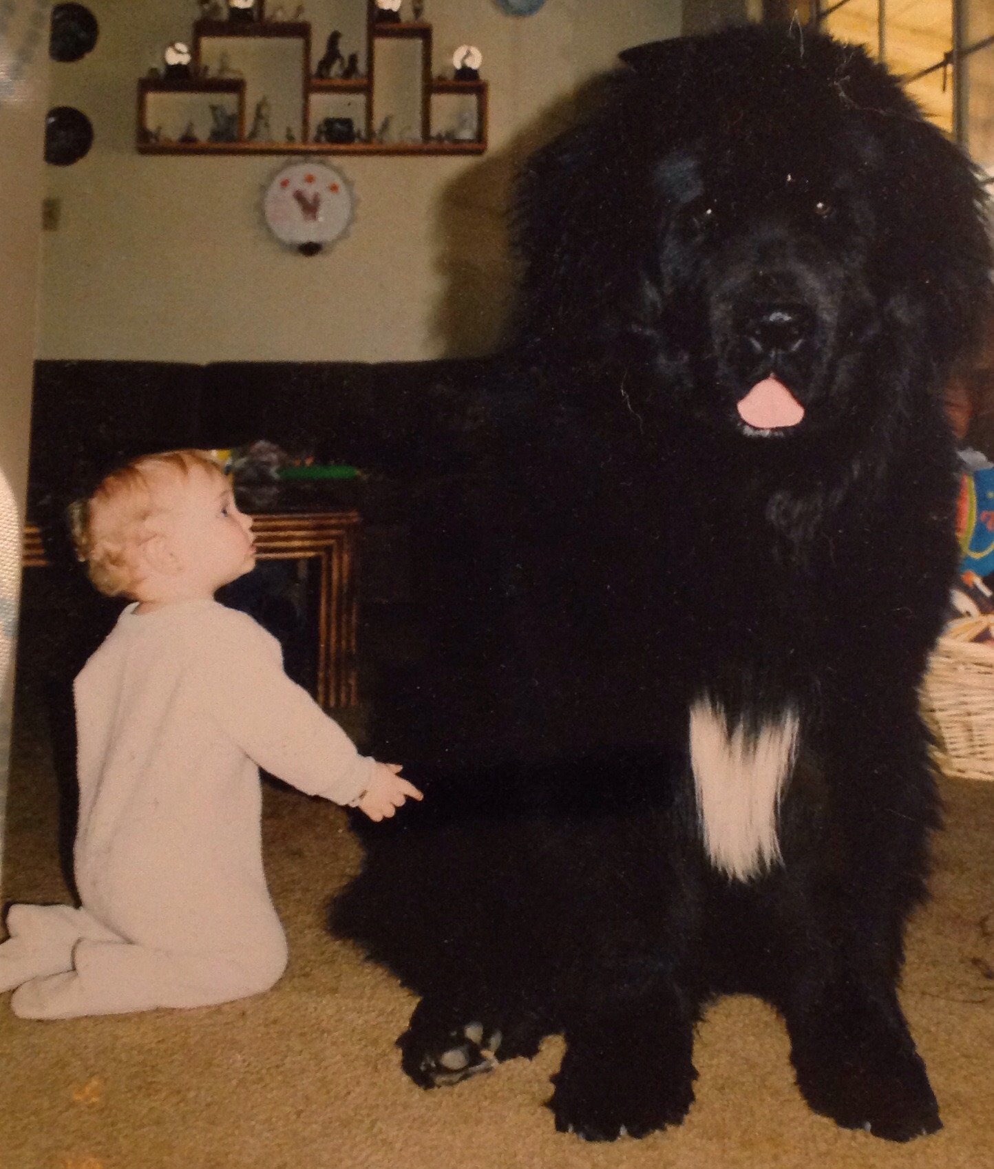 10 μωρά και οι αγαπημένοι τους «μεγάλοι» σκύλοι (φωτο)