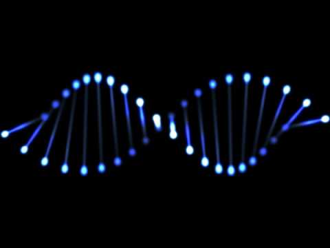 Μόλις το 8,2% του ανθρώπινου DNA είναι «λειτουργικό» και «χρήσιμο»