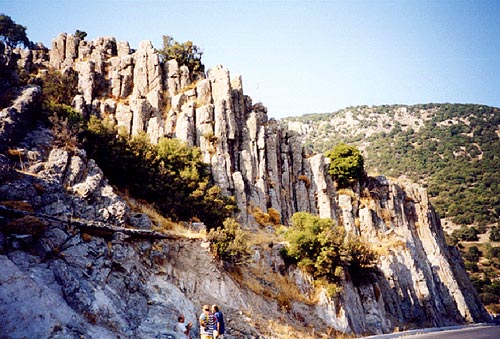 Υποψήφιο στα Μνημεία Παγκόσμιας Κληρονομιάς της UNESCO το Απολιθωμένο Δάσος της Λέσβου