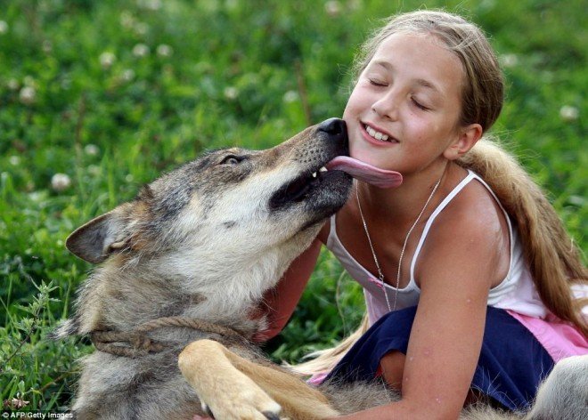 Η 10χρονη που κάνει παρέα με... λύκους! (φωτο)