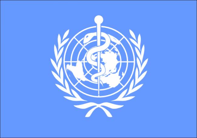 Παγκόσμιος Οργανισμός Υγείας: Κατάσταση εκτάκτου ανάγκης παγκοσμίως εξαιτίας του ιού Έμπολα