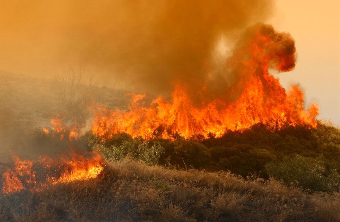 Υπό μερικό έλεγχο η πυρκαγιά στη Ρόδο – στάχτη έγιναν 140 στρέμματα δάσους