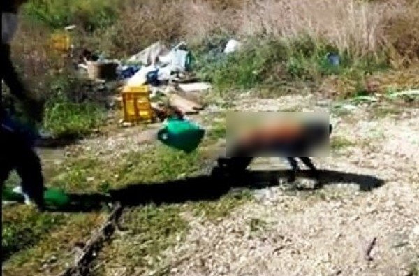 Φρίκη στην Άρτα: Ασυνείδητοι έβαλαν φωτιά σε σκύλο και ανέβασαν το βίντεο στο ίντερνετ