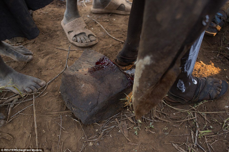 A Pokot girl bleeds onto a rock after being circumcised in a tribal ritual. In addition to excruciating pain, can cause haemorrhage, shock and complications in childbirth