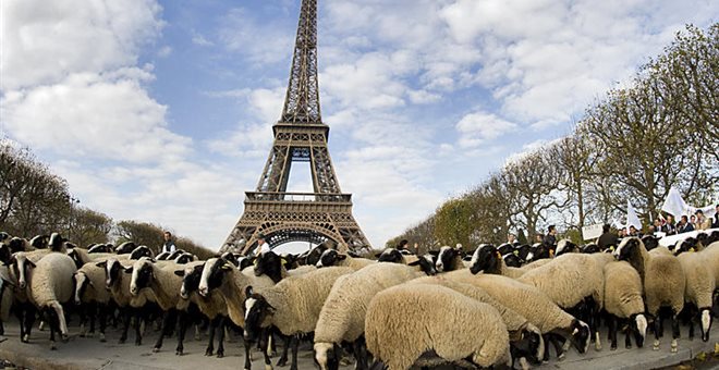 Εκατοντάδες πρόβατα στον Πύργο του Άιφελ, στο πλαίσιο διαμαρτυρίας
