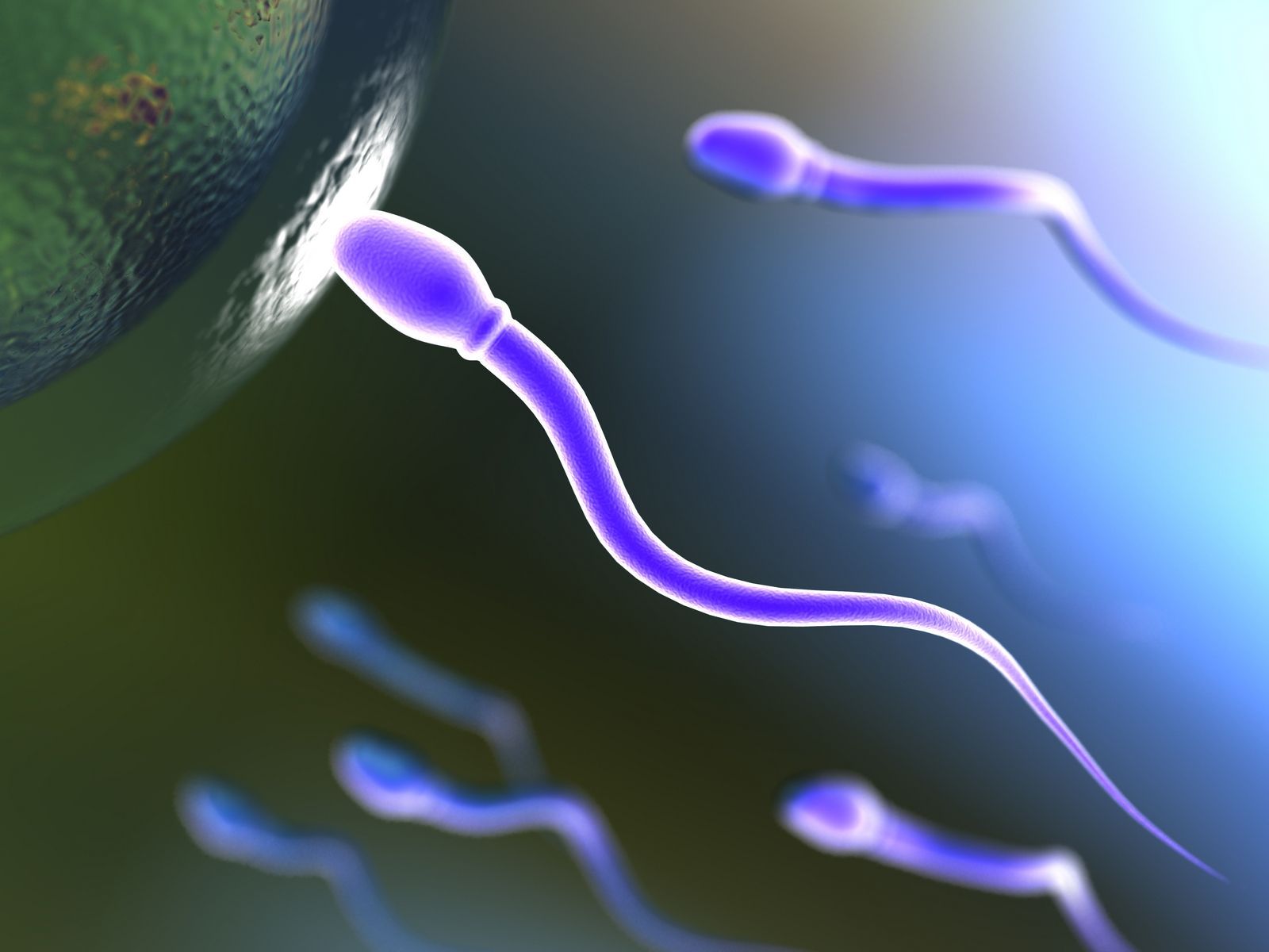 Κορονοϊός: Η επίπτωση του SARS-CoV-2 στην ανδρική γονιμότητα