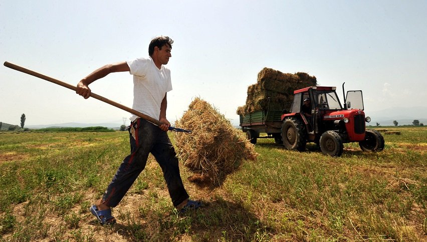 ΕΛΓΑ: Αύριο οι αποζημιώσεις 11,5 εκατ. ευρώ σε 7.273 αγρότες