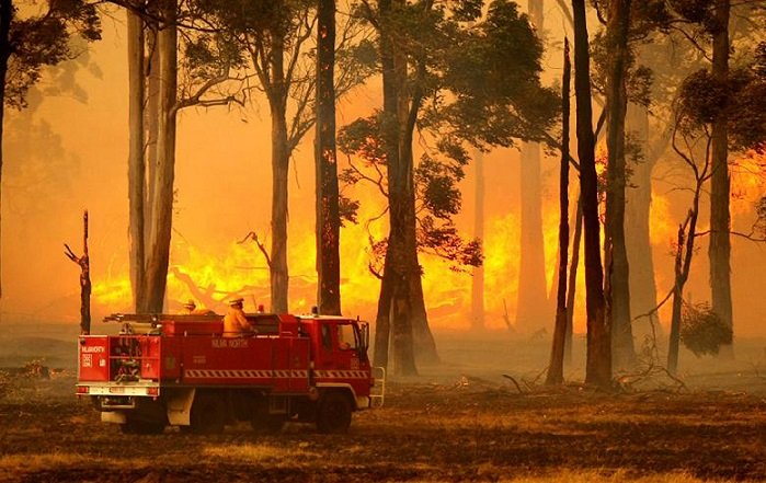 Στις φλόγες σπίτια και ζώα στην Αυστραλία – Στάχτη έχουν γίνει τεράστιες δασικές εκτάσεις