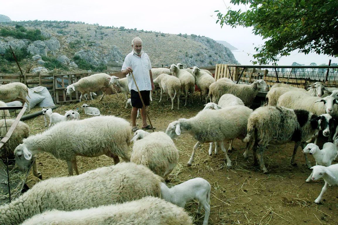Πανελλαδική κινητοποίηση κτηνοτρόφων στις 12 Ιανουαρίου