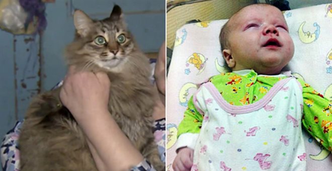 Γάτα έσωσε τη ζωή μωρού που το είχαν εγκαταλείψει στα σκουπίδια
