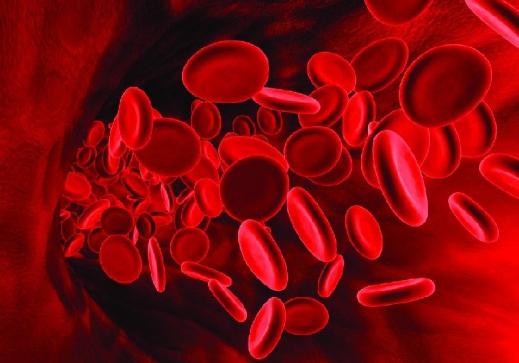 Τέσσερις αλήθειες για το αίμα που δεν τις γνωρίζατε