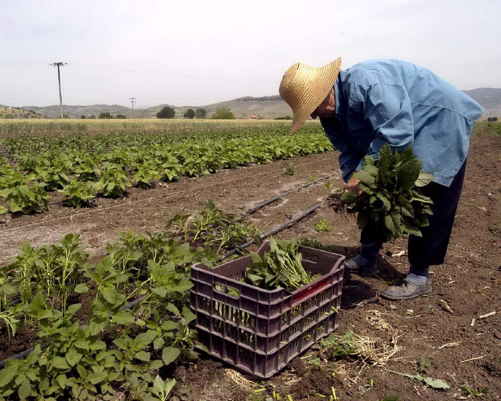 «Καμπάνες» 185 εκ. ευρώ σε αγρότες και εμπόρους της Θήβας