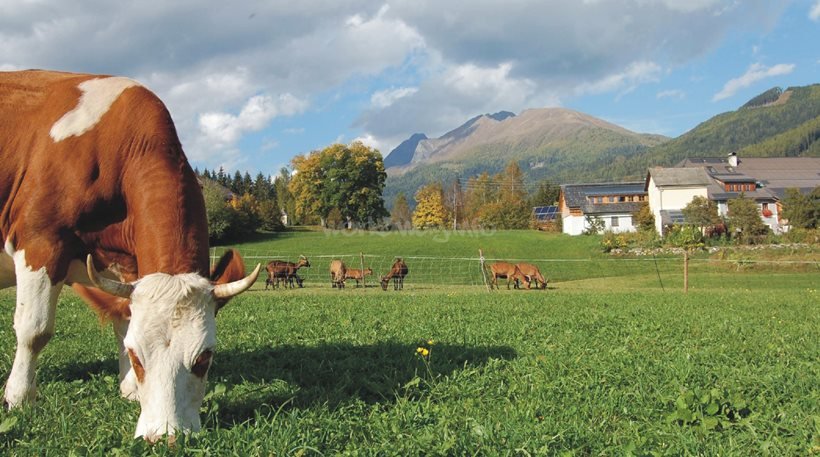 Γίνε αγρότης στην Ελβετία με 3.000 ευρώ μισθό!