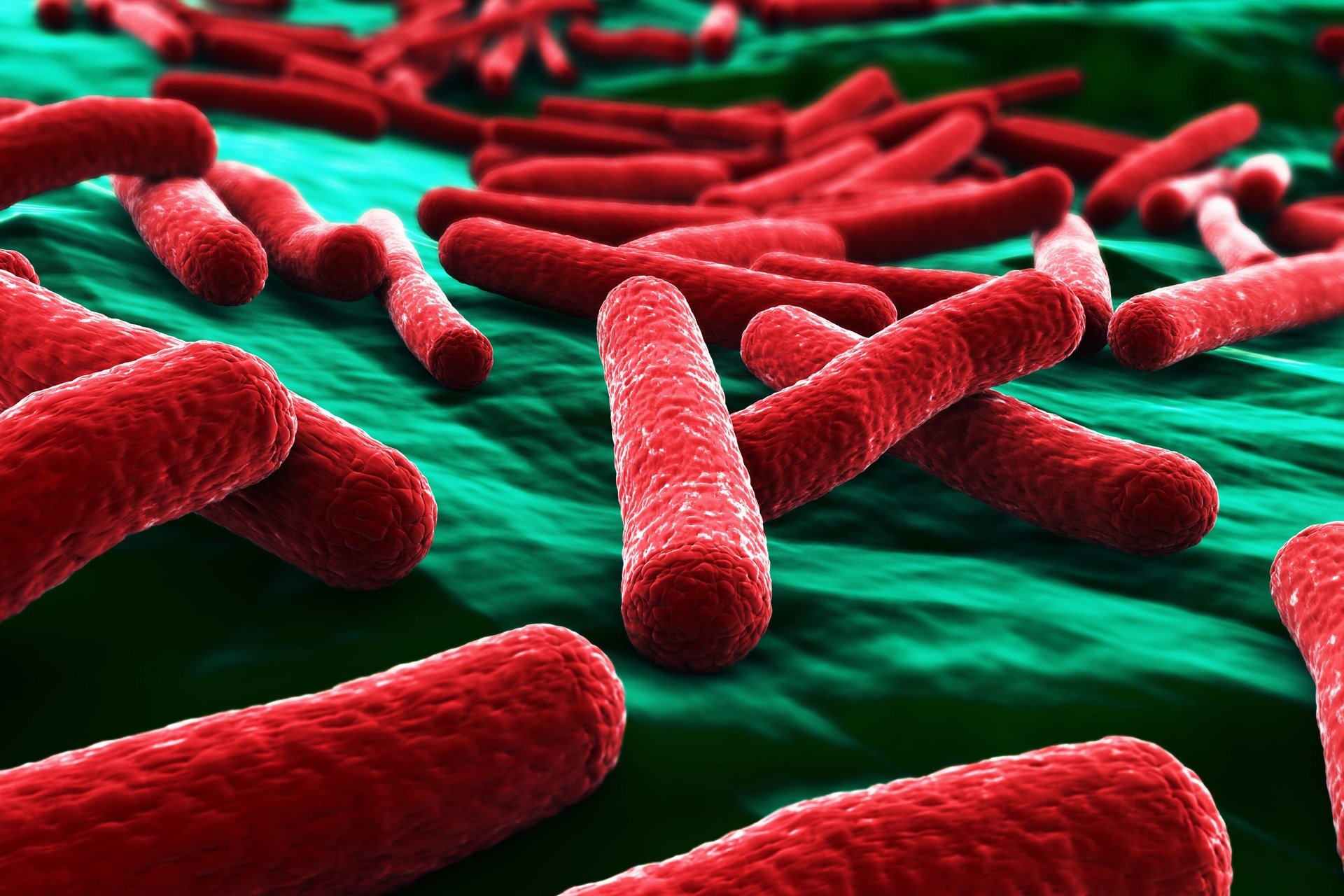 Θανατηφόρο βακτήριο «E.coli» στο νερό της Ηγουμενίτσας σε ανάλυση του Γενικού Χημείου του Κράτους