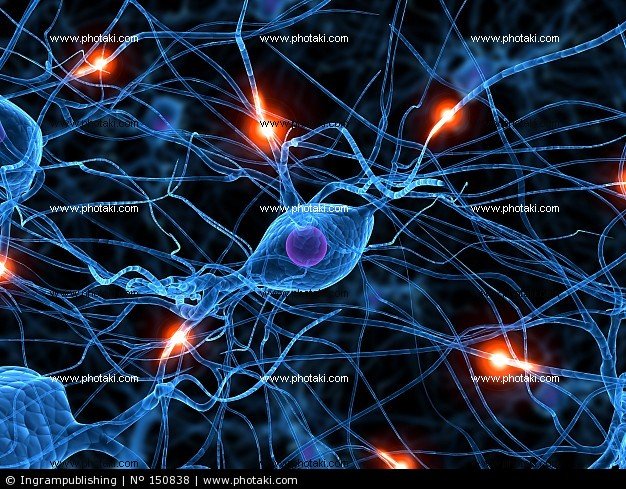 Πώς έγιναν τα νευρικά κύτταρα αίμα