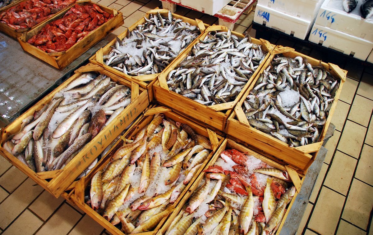 Κατάσχεση αλιευμάτων στη Δραπετσώνα