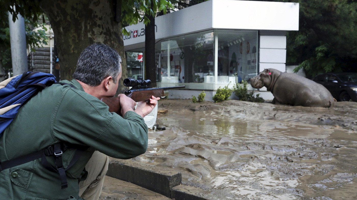 Τραγωδία από τις πλημμύρες στην Τιφλίδα: Τρεις νεκροί από άγρια ζώα που δραπέτευσαν από πάρκο - Επτά ακόμη θύματα - Τεράστιες καταστροφές