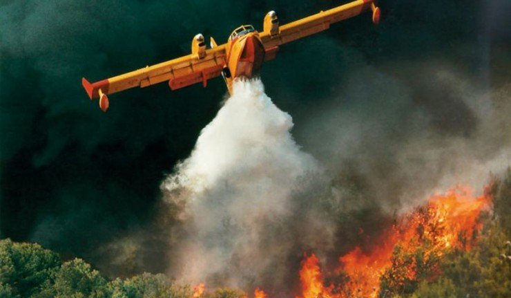 Σύλληψη 37χρονου κτηνοτρόφου για τη μεγάλη φωτιά στη Χαλκιδική, που κατέκαψε πάνω από 3.000 στρέμματα δασικής έκτασης