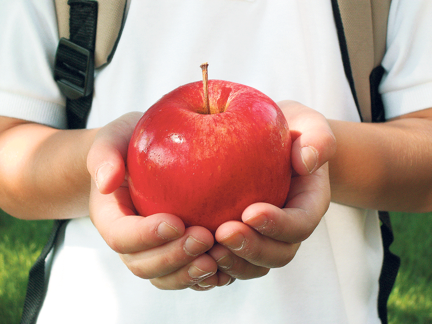 Χάθηκε το κονδύλι για φρούτα σε σχολεία