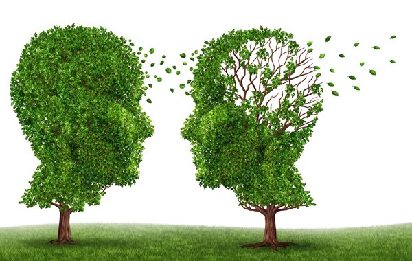 Τα λιποσώματα δίνουν πληροφορίες και τη λύση για την Αλτσχάιμερ