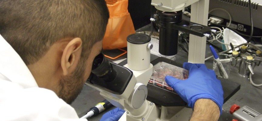 HΠΑ: Επιστήμονες δημιούργησαν το πρώτο τεχνητό ριβόσωμα κυττάρου