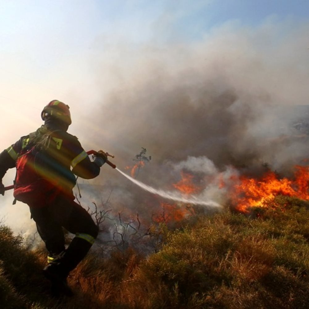 Ηλεία: Φωτιά σε δάσος της περιοχής Δραγώγιο της Ανδρίτσαινας - 30 πυροσβέστες στη μάχη με τις φλόγες!