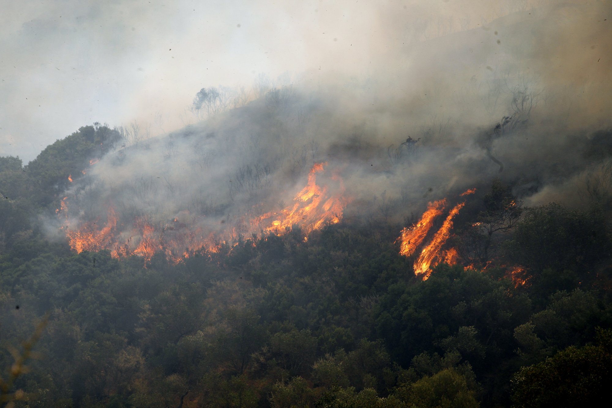 Σπίρτζης: Περίπου 40 σπίτια κάηκαν από τη φωτιά στη Λακωνία