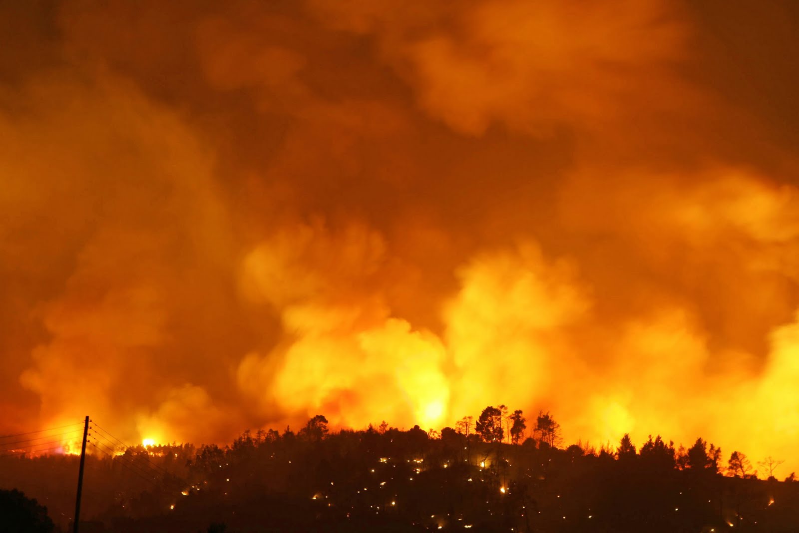 Συνολικά 133 πυρκαγιές έχουν ξεσπάσει το 2015 στη Βουλγαρία