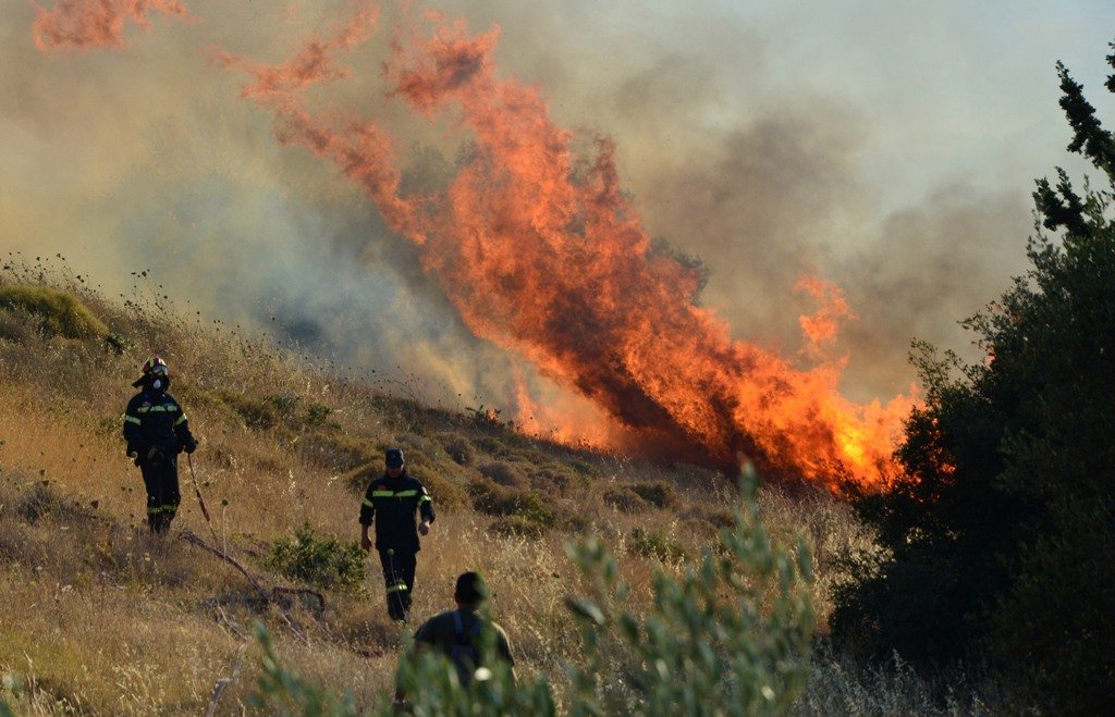 Πυρκαγιά σε αγροτοδασική έκταση στα Δίδυμα Αργολίδας