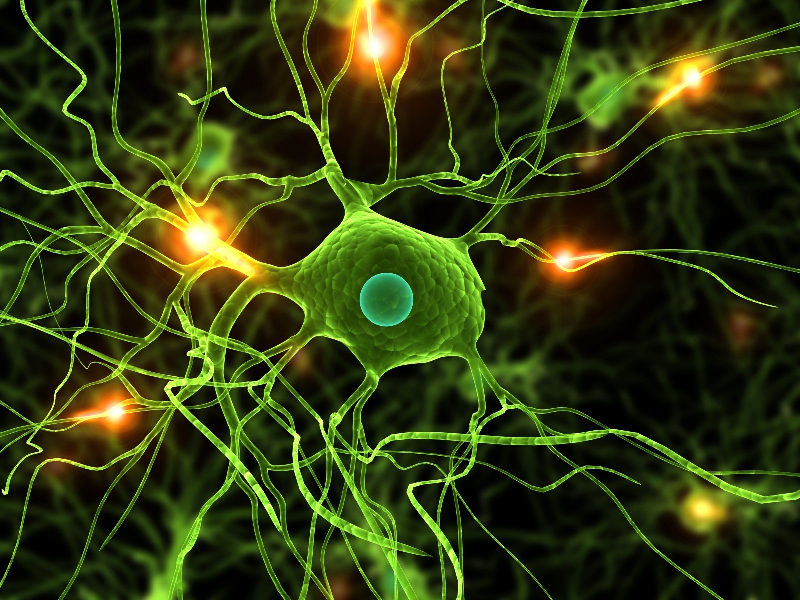 Κινέζοι κατάφεραν να μετατρέψουν δερματικά κύτταρα σε νευρώνες