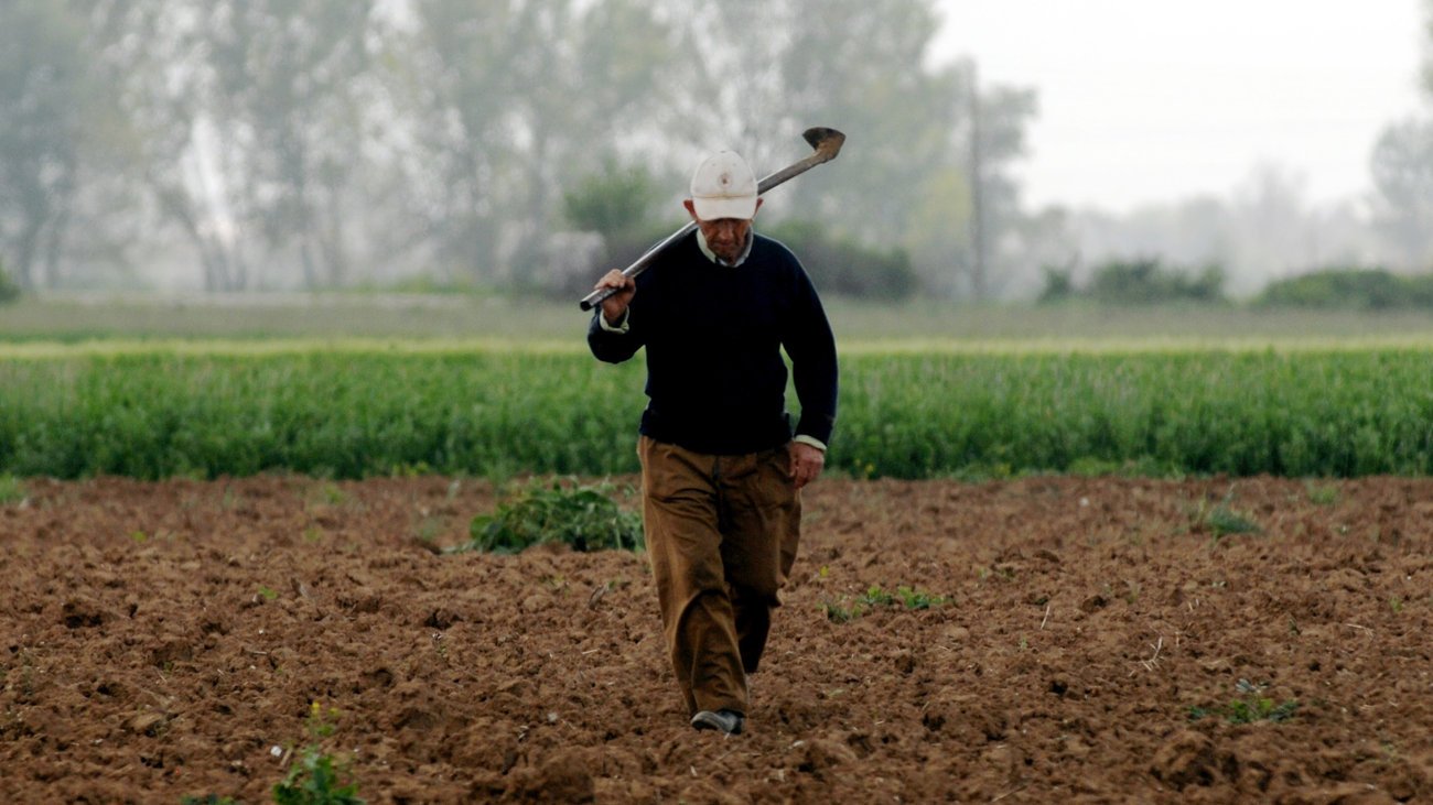 Σε ετοιμότητα οι αγρότες του Έβρου - Αντιδρούν στα προωθούμενα μέτρα