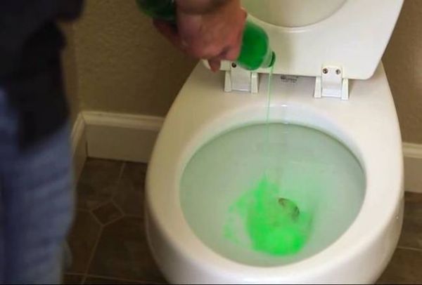 Φοβερό κόλπο: Ρίχνει υγρό πιάτων μέσα στην τουαλέτα! Δείτε το λόγο... (video)