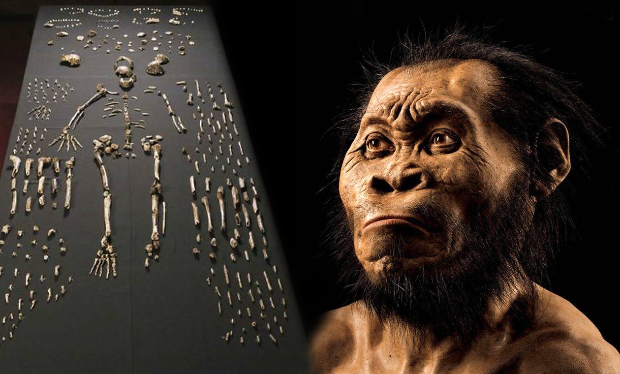 Kαι επίσημα πλέον η ανθρωπότητα καλωσορίζει τον Homo Naledi - (Φωτογραφίες)