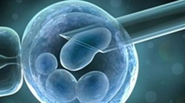 Ορμόνες στην εξωσωματική γονιμοποίηση και καρκίνος
