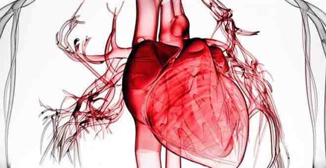 Κολπική μαρμαρυγή, η πιο συχνή καρδιακή αρρυθμία