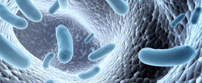 Προβιοτικά: Γνωρίστε τα φιλικά για την υγεία σας μικρόβια
