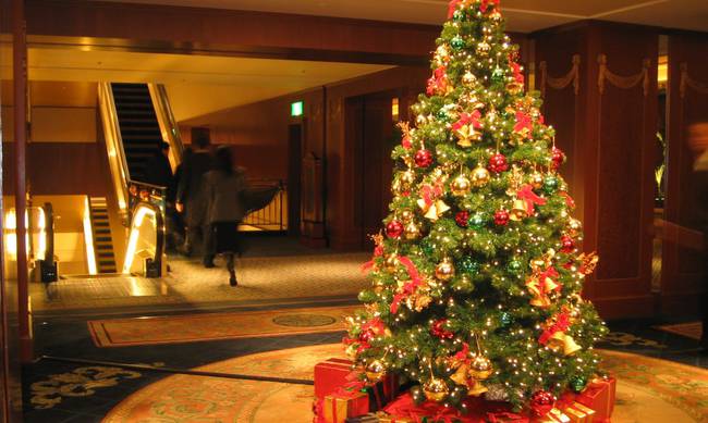Περί τα 4 δισ. δολάρια έφτασε η αγορά των χριστουγεννιάτικων δέντρων παγκοσμίως