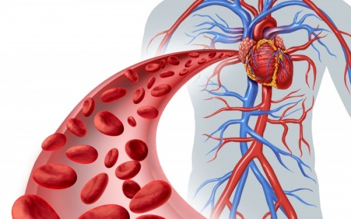 Η Sanofi και η Regeneron Ανακοινώνουν την Ολοκλήρωση της Εισαγωγής 18.000 Ασθενών στη Μελέτη ODYSSEY OUTCOMES για καρδιακά νοσήματα