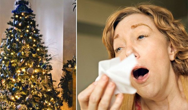 Προσοχή στην αλλεργία του Χριστουγεννιάτικου δέντρου