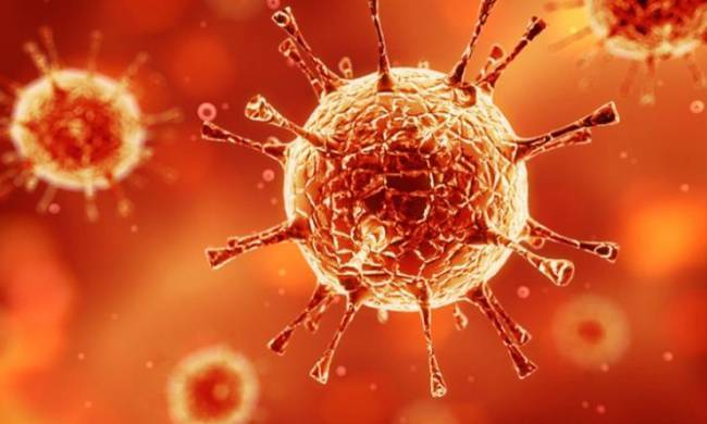 Συναγερμός στην Ευρώπη:  Ο ιός Ζίκα εντοπίσθηκε στη Δανία (Vid)
