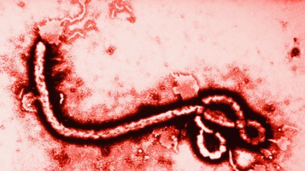 Ανιχνεύθηκε ο ιός Έμπολα σε νεκρό στη Σιέρα Λεόνε