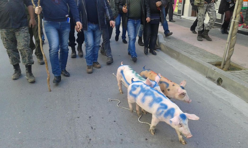 Ρέθυμνο: Με τα γουρούνια στο δρόμο οι αγρότες