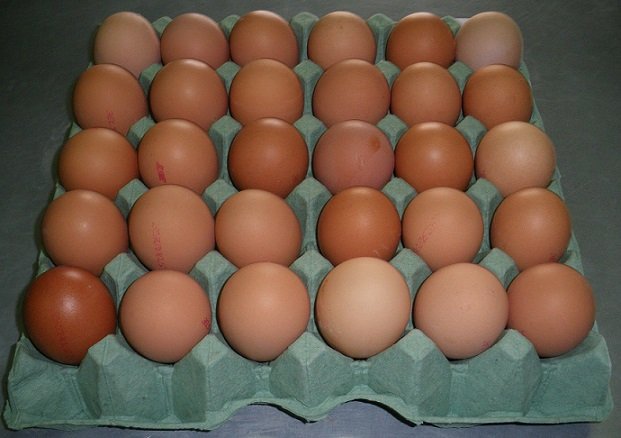 Κατασχέθηκαν ακατάλληλα αυγά & τυρί στον Πειραιά – Εντατικοί έλεγχοι ενόψει Πάσχα
