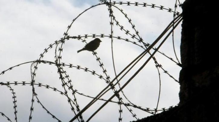 Δημόσια επιστολή στον Υπουργό Δικαιοσύνης από τις κρατούμενες στις φυλακές Θήβας