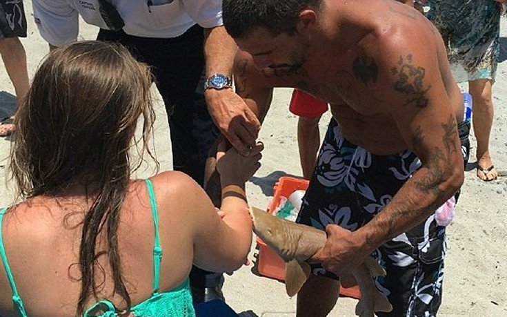 Φλόριντα: Πήγε στο νοσοκομείο με έναν καρχαρία "καρφωμένο" στο χέρι της  - ΦΩΤΟ