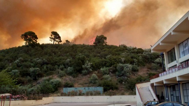 Χαλκιδική: Ανεξέλεγκτη πυρκαγιά- Οι ισχυροί άνεμοι εμποδίζουν τη μάχη των πυροσβεστών