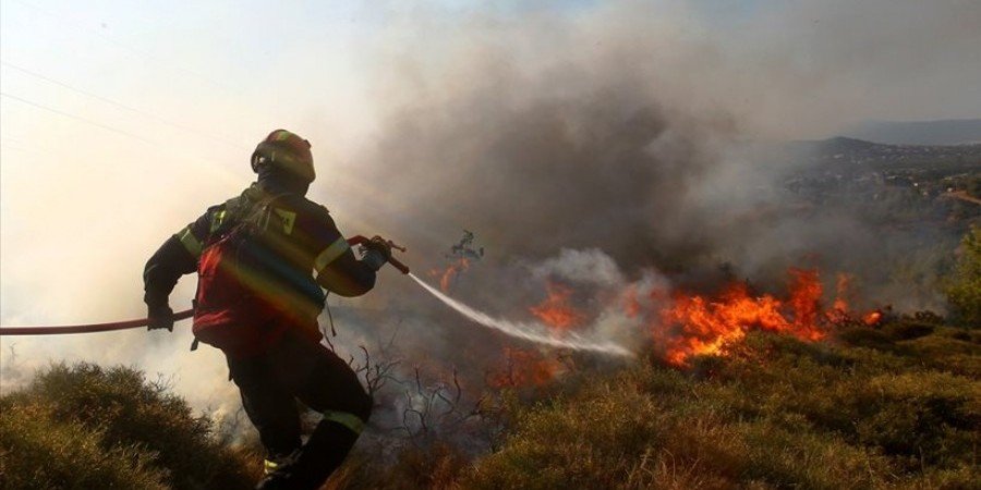 Κύπρος: Καμένες δασικές εκτάσεις, μετά την πυρκαγιά
