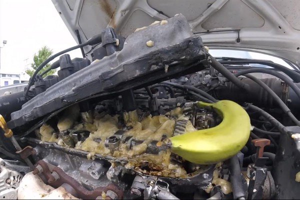 Κινητήρας Toyota λειτούργησε με μπανάνες αντί λάδι! (video)