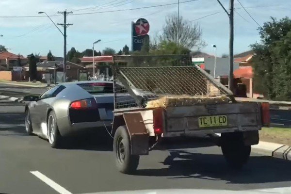 Lamborghini ρυμουλκεί τρέιλερ με σανό και κατσίκες! (video)